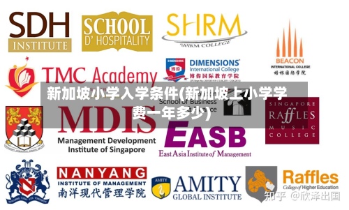新加坡小学入学条件(新加坡上小学学费一年多少)