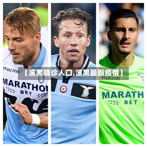 【波黑确诊人口,波黑最新疫情】-第2张图片