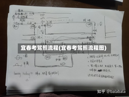 宜春考驾照流程(宜春考驾照流程图)