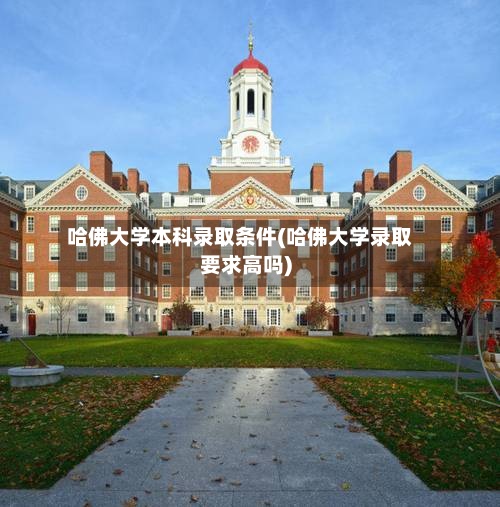 哈佛大学本科录取条件(哈佛大学录取要求高吗)-第3张图片