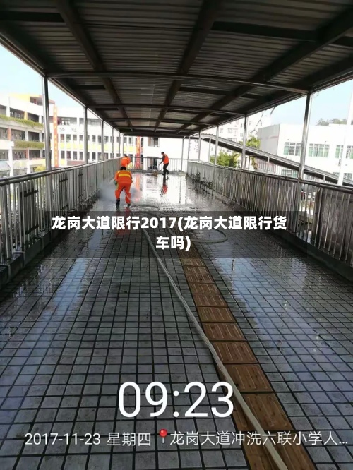 龙岗大道限行2017(龙岗大道限行货车吗)