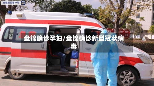 盘锦确诊孕妇/盘锦确诊新型冠状病毒-第3张图片