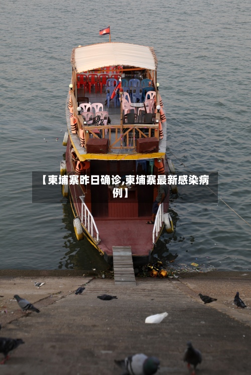 【柬埔寨昨日确诊,柬埔寨最新感染病例】