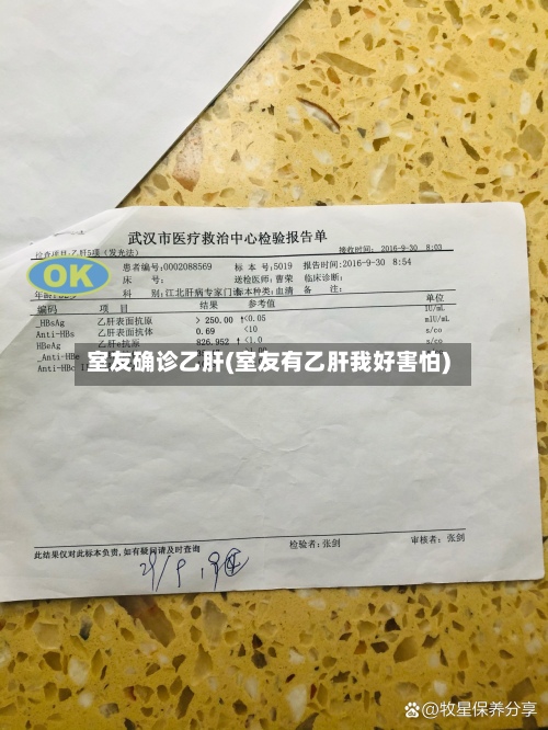 室友确诊乙肝(室友有乙肝我好害怕)-第3张图片