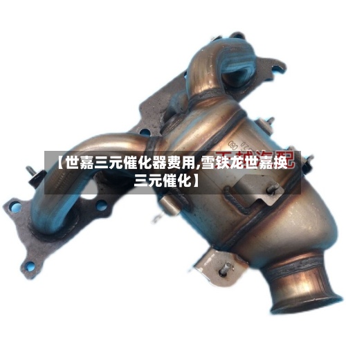【世嘉三元催化器费用,雪铁龙世嘉换三元催化】-第2张图片