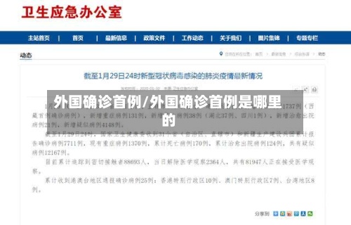 外国确诊首例/外国确诊首例是哪里的-第2张图片