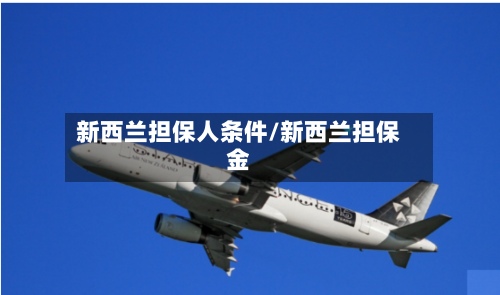 新西兰担保人条件/新西兰担保金