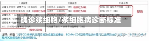 确诊浆细胞/浆细胞病诊断标准