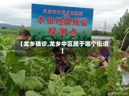 【龙乡确诊,龙乡中区属于哪个街道】-第2张图片