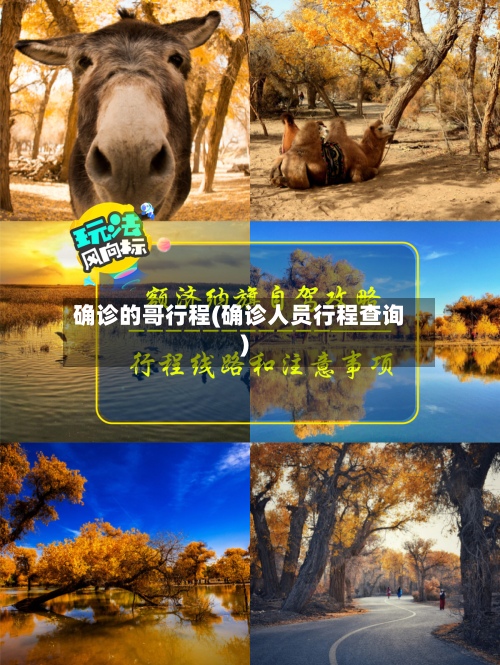 确诊的哥行程(确诊人员行程查询)-第2张图片
