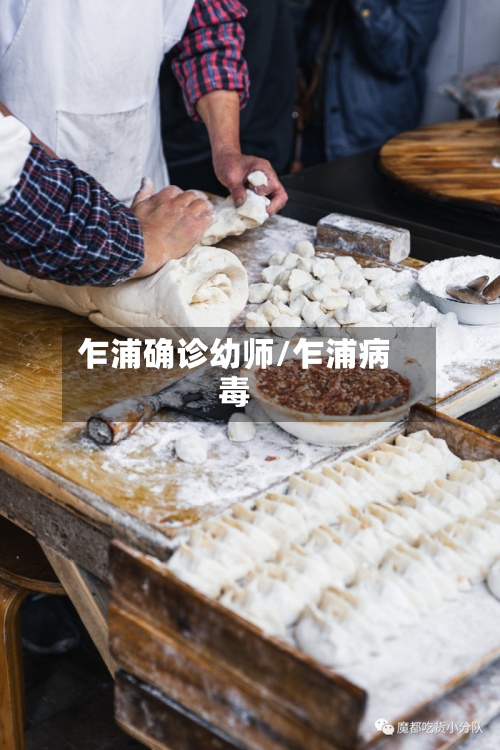 乍浦确诊幼师/乍浦病毒-第2张图片