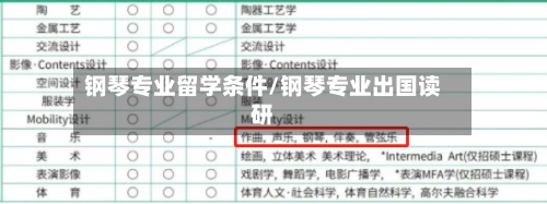 钢琴专业留学条件/钢琴专业出国读研-第2张图片