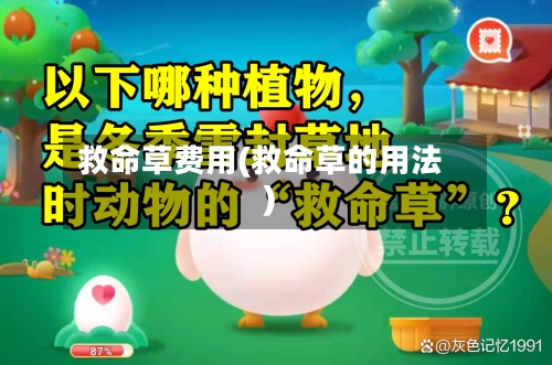 救命草费用(救命草的用法)-第3张图片