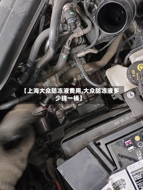 【上海大众防冻液费用,大众防冻液多少钱一桶】