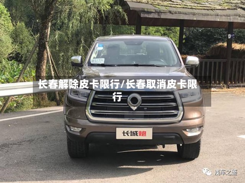 长春解除皮卡限行/长春取消皮卡限行-第3张图片