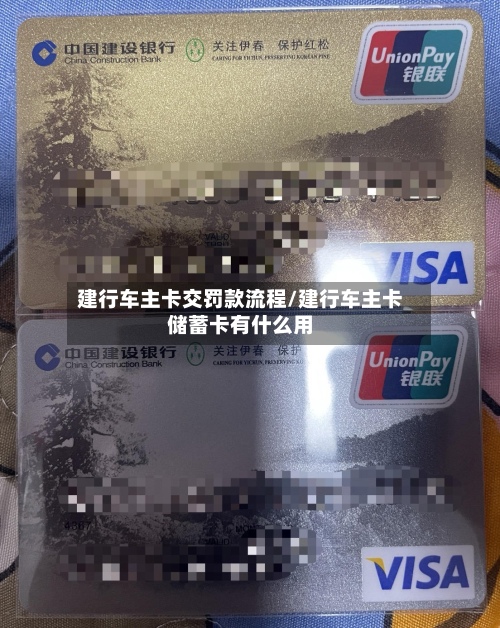 建行车主卡交罚款流程/建行车主卡储蓄卡有什么用