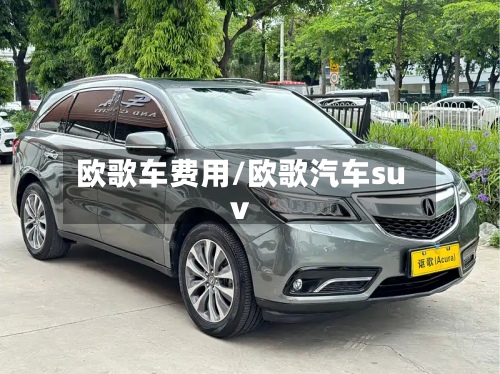 欧歌车费用/欧歌汽车suv-第1张图片