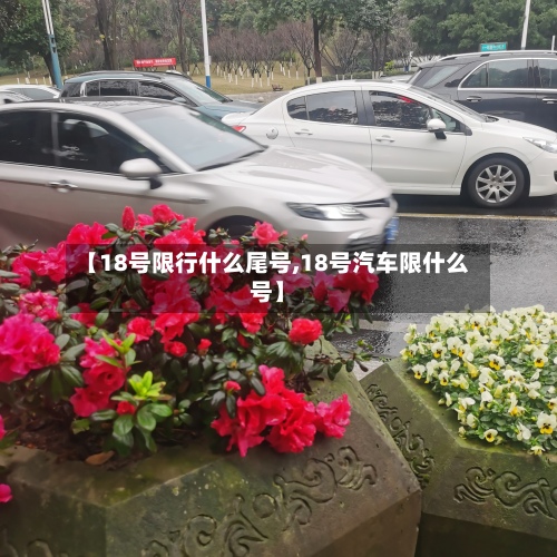 【18号限行什么尾号,18号汽车限什么号】-第3张图片
