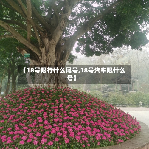 【18号限行什么尾号,18号汽车限什么号】