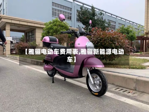 【雅骊电动车费用表,雅骊新能源电动车】-第2张图片