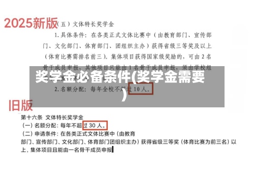 奖学金必备条件(奖学金需要)