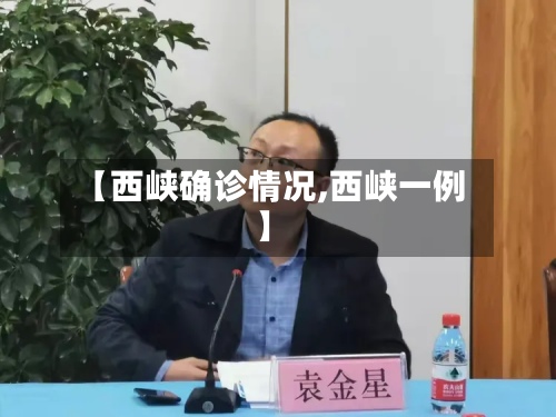 【西峡确诊情况,西峡一例】-第2张图片
