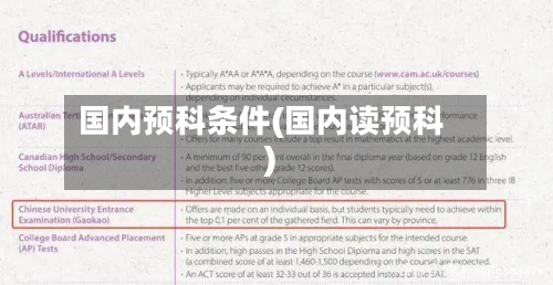 国内预科条件(国内读预科)