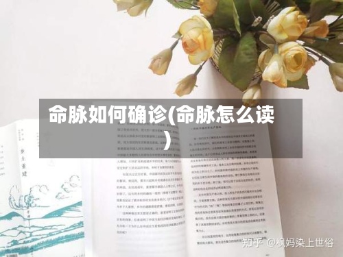 命脉如何确诊(命脉怎么读)-第2张图片