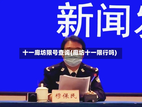 十一廊坊限号查询(廊坊十一限行吗)