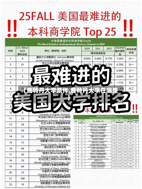 【鹿特丹大学条件,鹿特丹大学在哪里】