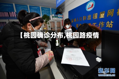 【桃园确诊分布,桃园路疫情】-第2张图片