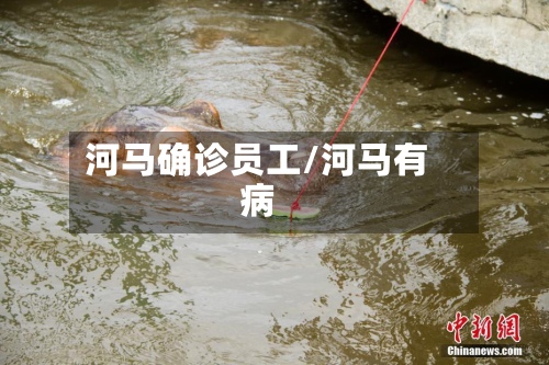 河马确诊员工/河马有病-第3张图片