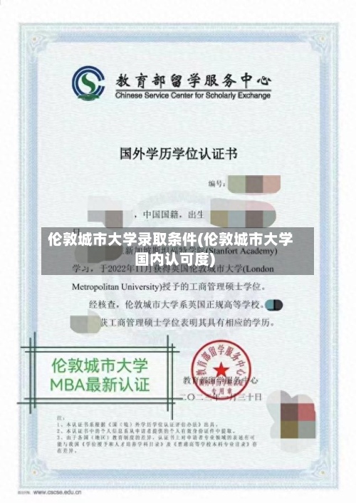 伦敦城市大学录取条件(伦敦城市大学国内认可度)