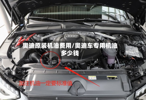 奥迪原装机油费用/奥迪车专用机油多少钱