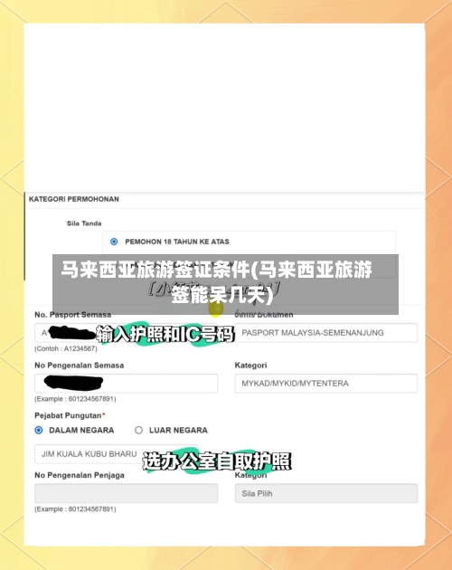 马来西亚旅游签证条件(马来西亚旅游签能呆几天)-第3张图片