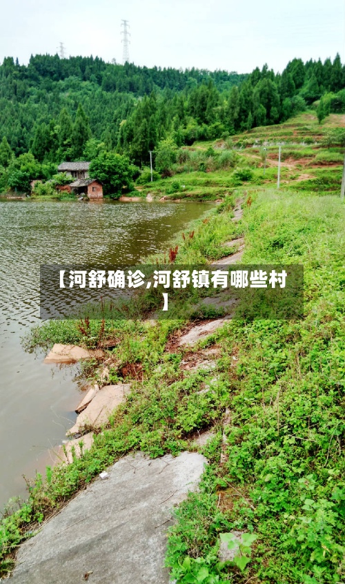 【河舒确诊,河舒镇有哪些村】