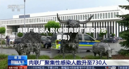 肉联厂确诊人数(中国肉联厂感染新冠病毒)-第3张图片