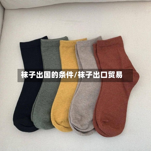 袜子出国的条件/袜子出口贸易