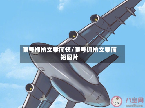 限号抓拍文案简短/限号抓拍文案简短图片-第1张图片