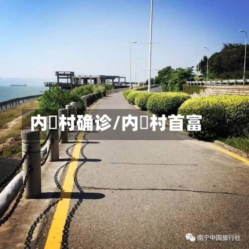 内垵村确诊/内輋村首富