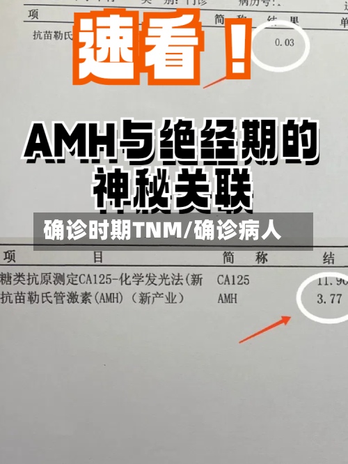 确诊时期TNM/确诊病人-第2张图片