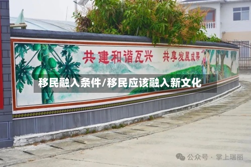 移民融入条件/移民应该融入新文化-第2张图片