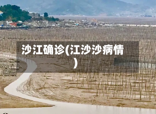 沙江确诊(江沙沙病情)