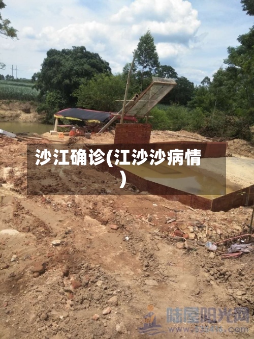 沙江确诊(江沙沙病情)-第2张图片