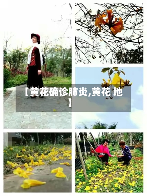 【黄花确诊肺炎,黄花 地】-第2张图片