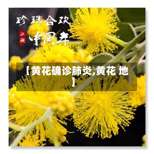 【黄花确诊肺炎,黄花 地】