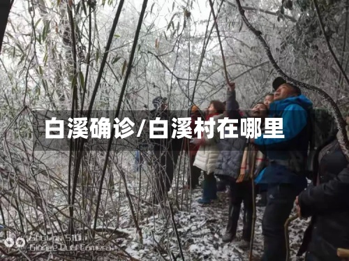 白溪确诊/白溪村在哪里-第2张图片