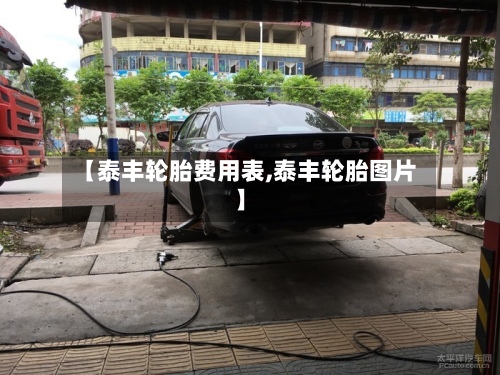 【泰丰轮胎费用表,泰丰轮胎图片】-第2张图片