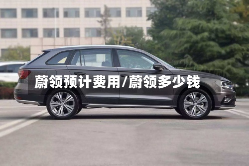 蔚领预计费用/蔚领多少钱