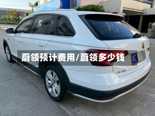 蔚领预计费用/蔚领多少钱-第2张图片